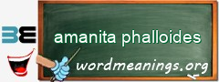 WordMeaning blackboard for amanita phalloides